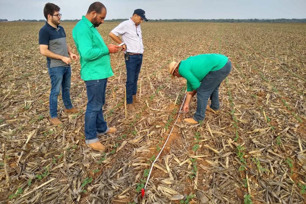 A plataforma AgriTask e a parceria com a Liberali é voltada para a agricultura, porém sem restrições em termos de culturas. Foto Divulgação
