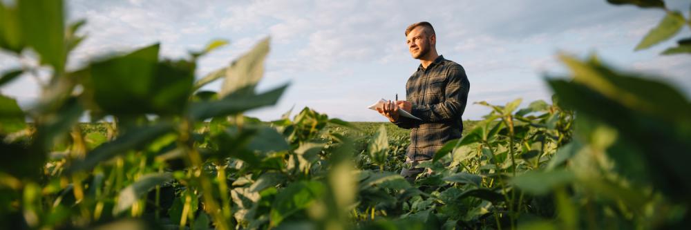 Os conteúdos previstos no curso incluem conceito de seguro agrícola e sua importância para a gestão de riscos, programas no âmbito federal e estadual, Zoneamento Agrícola de Risco Climático (Zarc), entre outros assuntos.