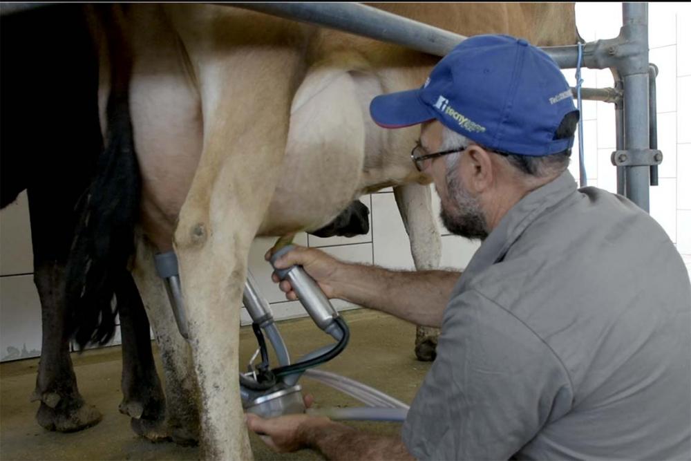 Ao longo do encontro, os produtores rurais puderam fazer perguntas e interagir para desenhar o cenário do leite no Estado. 
