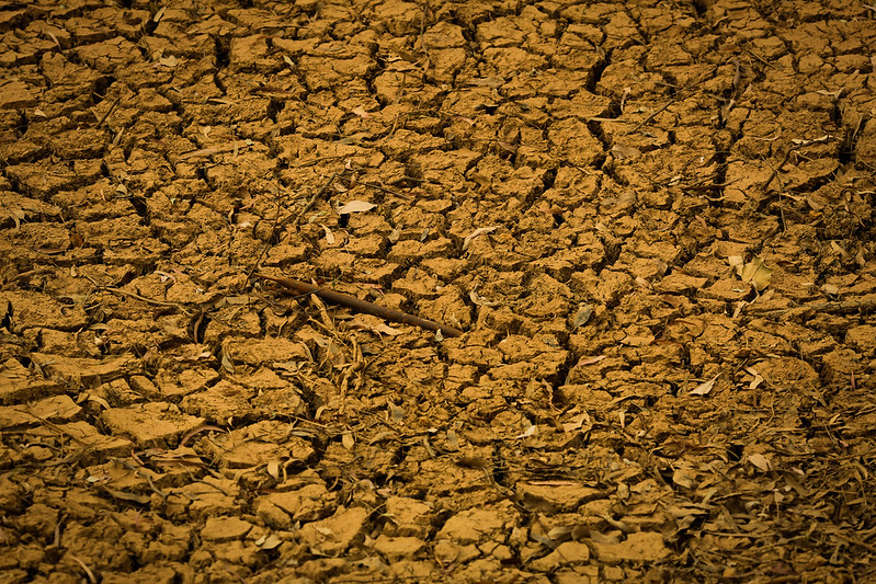 Situações como essa, que fogem do controle do produtor rural, evidenciam a importância de incluir o seguro rural na gestão da sua propriedade. Foto Sistema CNA/SENAR.