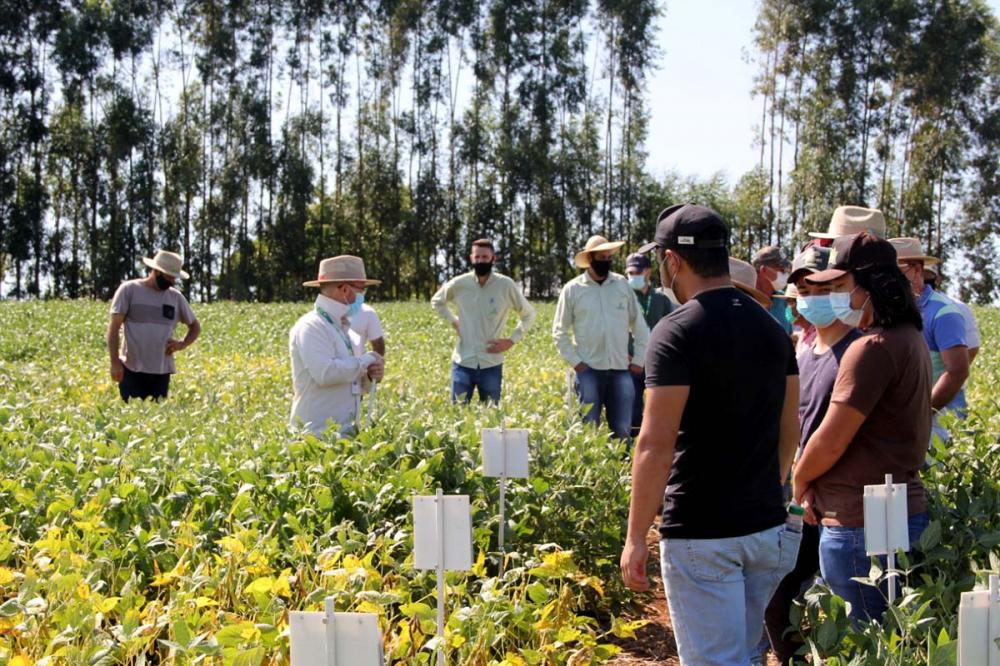 A ideia da CAPAL de descentralizar o Dia de Campo, levando as palestras para outros municípios, garante um conteúdo adaptado às peculiaridades regionais quanto ao clima e solo.