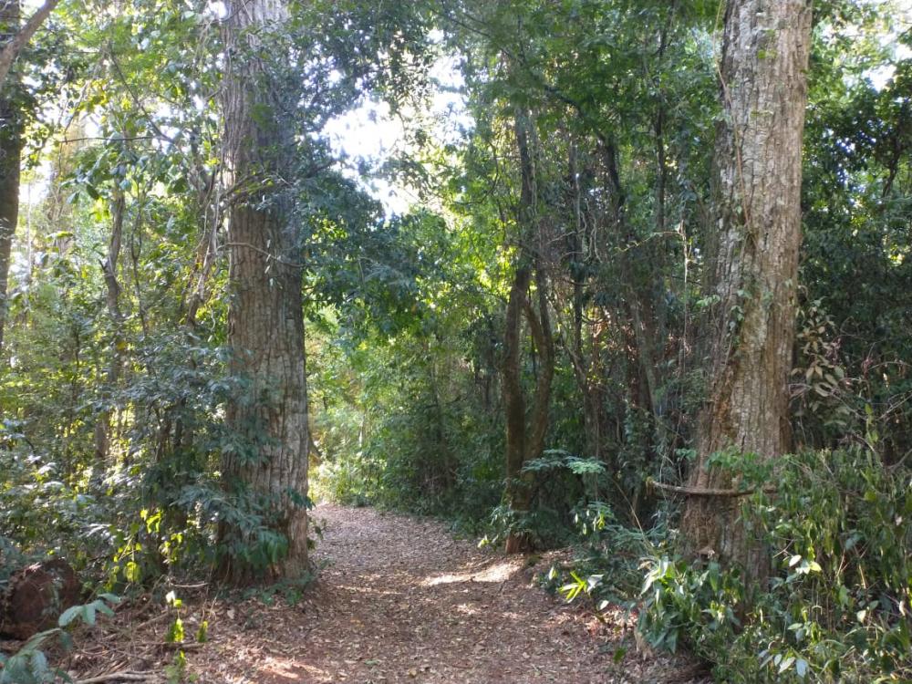 Governo do Paraná registra mais uma Reserva Particular do Patrimônio Natural no Norte do Estado - Curitiba, 22/02/2022 Foto: Divulgação Sedest