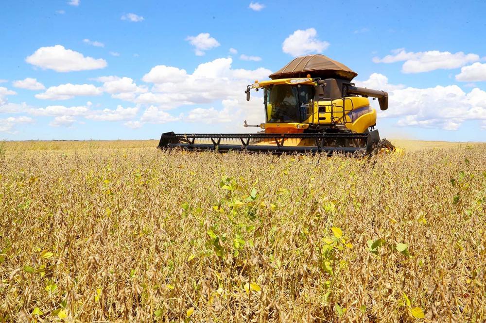 Paraná deve produzir 14,74 milhões de toneladas de grãos na safra de verão Foto: Jaelson Lucas/Arquivo AEN
