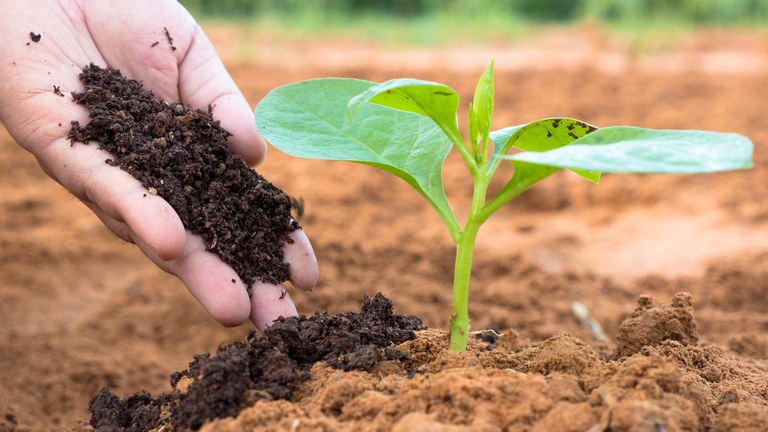 Fertilizantes - Foto: Banco de Imagens do Governo Federal