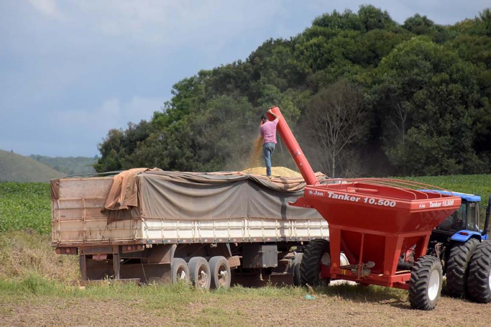 A soja em grãos contou com 2,45 milhões de toneladas em exportações, ou seja, um salto de 4.853,6%, ou uma movimentação de US$ 1,24 bilhão. Foto Toninho Anhaia.