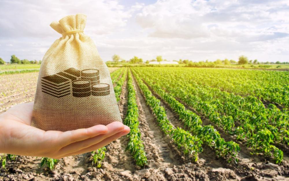 As fontes de recursos mais utilizadas pelas instituições financeiras continuam sendo a Poupança Rural Controlada (R$ 46,3 bilhões), os Recursos Obrigatórios (R$ 42,6 bilhões), a Poupança Rural Livre (R$ 28,4 bilhões) e a LCA (R$ 25,1 bilhões) que, juntos,