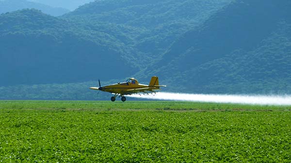 O controle das pragas e doenças é fundamental para aumentar o potencial de produção, explica o professor da Unesp de Botucatu (SP) Ulisses Rocha Antuniassi, doutor em Agronomia.