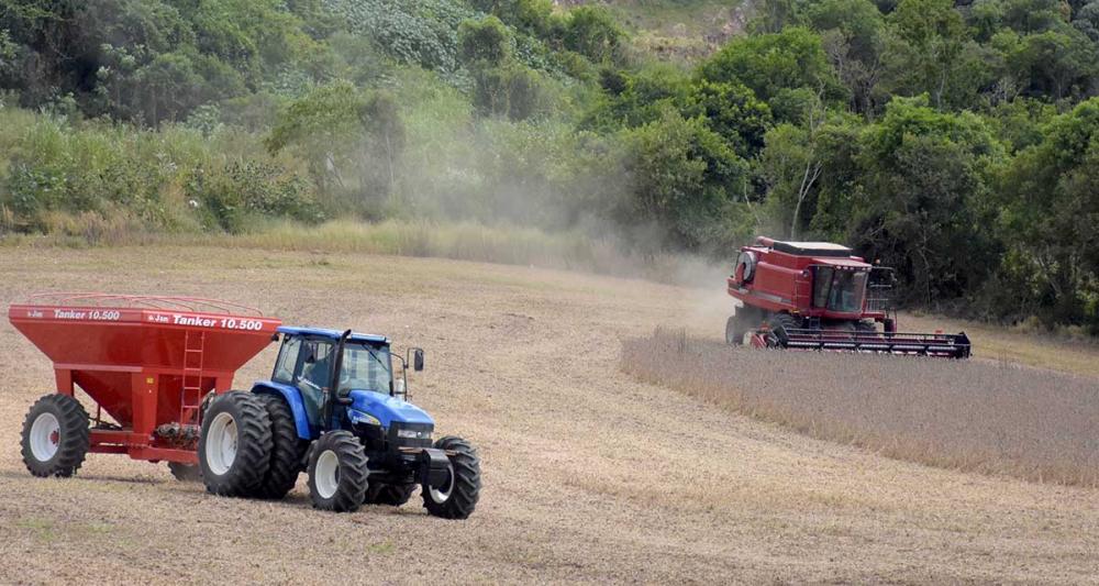 Houve um incremento de 4,3% na área a ser plantada, estimada em 72,7 milhões de hectares Foto Toninho Anhaia