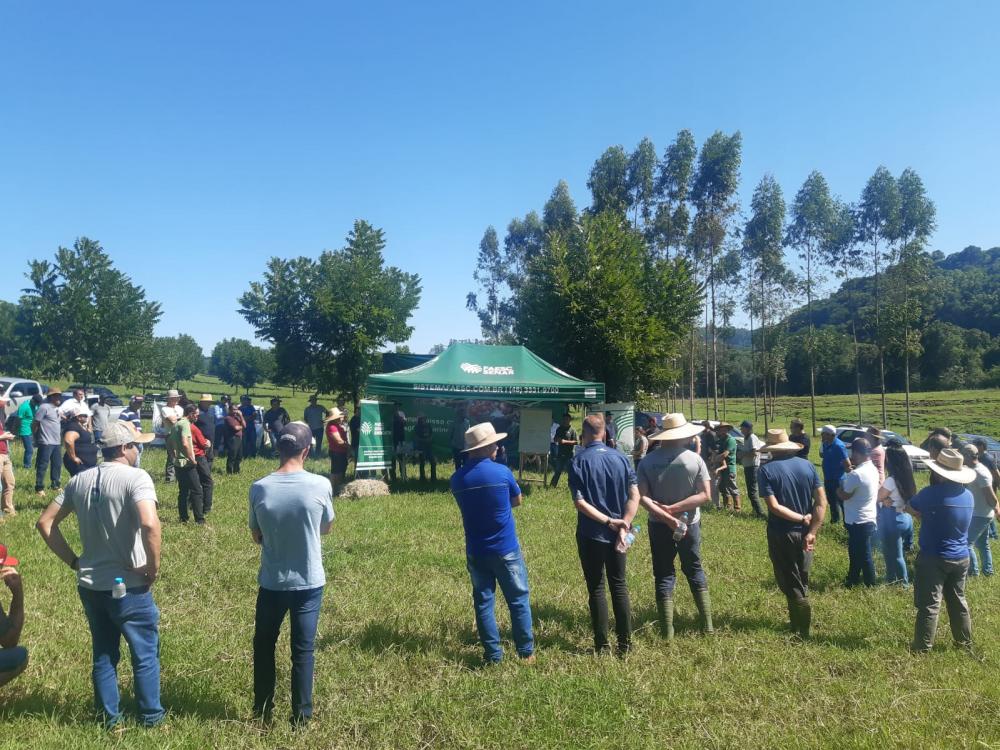 Dia de Campo oportunizou trabalhar o manejo e a implantação de pastagem, a adubação e a correção de solo, entre outros temas.