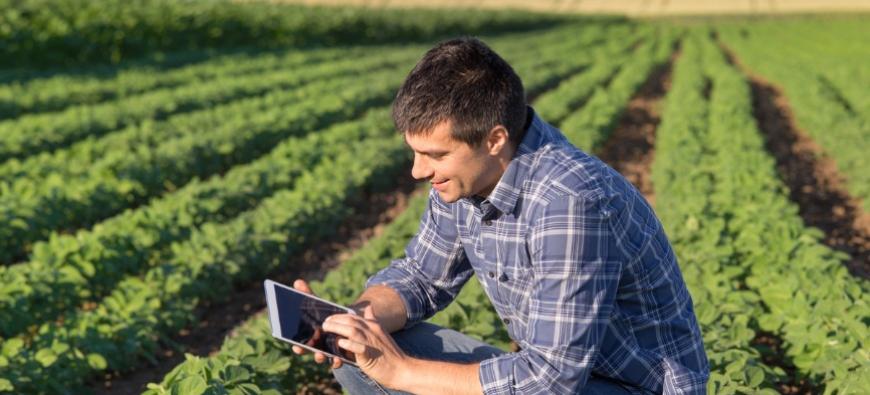 Diante da demanda elevada, novas turmas online serão formadas, a partir de 11 de maio, para os cursos Recuperação de pastagens degradadas, Irrigaweb, Sistemas agroflorestais e Hortas em pequenos espaços