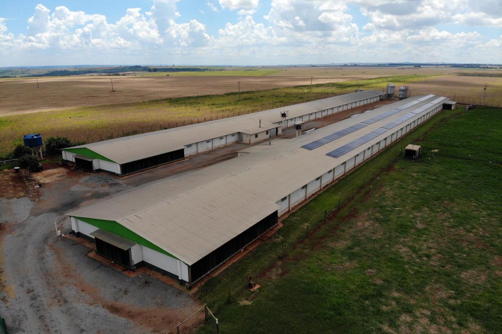 Estado libera R$ 250 milhões em créditos de ICMS para expansão de energias renováveis Foto: Gilson Abreu/AEN