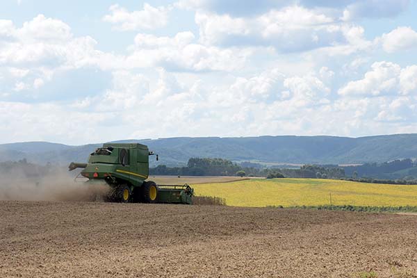 O Valor da Terra Nua (VTN) é o valor de mercado do solo com sua superfície, bem assim das florestas naturais, das matas nativas e das pastagens naturais que integram o imóvel rural. Foto Toninho Anhaia