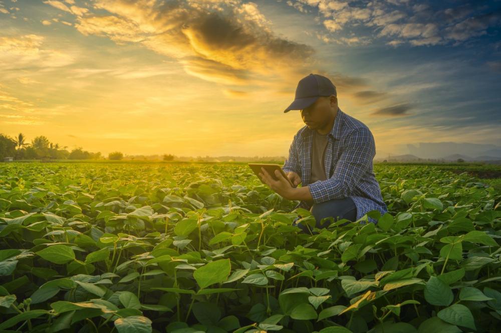 O Agro Hub Brasil vem preencher uma lacuna, pois muito já se sabia do que estava acontecendo no campo no tocante à transformação digital, mas não havia um espaço que desse a visibilidade da grandeza desse processo.