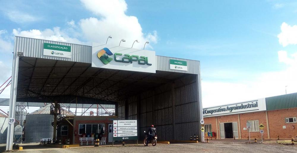 Atualmente, a unidade de Curiúva atende mais de 300 produtores associados e a área assistida é de 5,3 mil hectares. A atividade principal é o cultivo de grãos - correspondente a 80% da movimentação -, seguido da pecuária leiteira e de corte. 