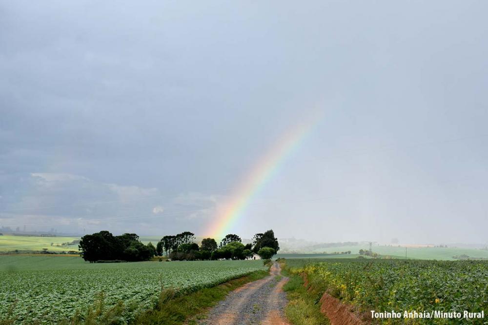 Gerenciar e monitorar dados climáticos, contribui diretamente na tomada de decisão com foco na produção. Foto Toninho Anhaia/Minuto Rural.
