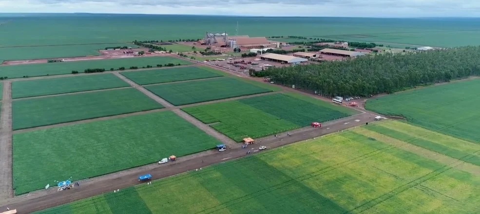 Foi inaugurada na Fazenda Ipê, pertencente ao Grupo Insolo, a primeira antena com essa tecnologia do País, que proporcionará internet de melhor qualidade, contribuindo na produção e maior desenvolvimento no campo.