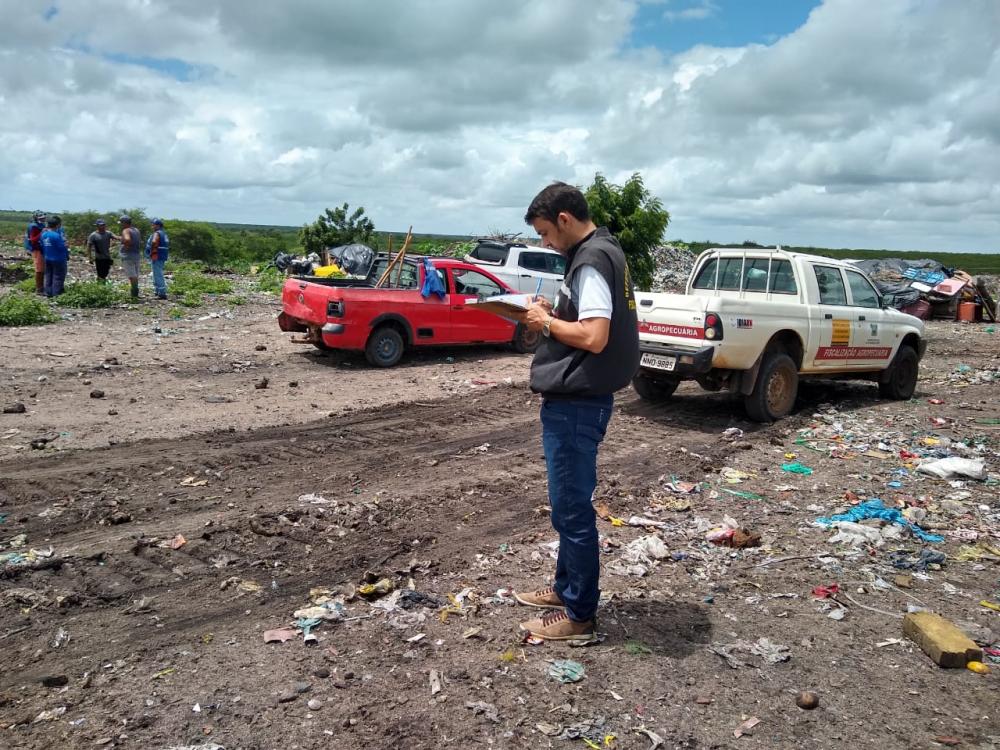 Apreensão de suínos localizado no município de João Câmara/RN.