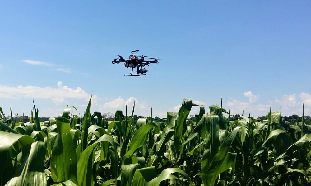 Objetivo é saber de que forma tecnologias digitais vem sendo utilizadas no setor agropecuário