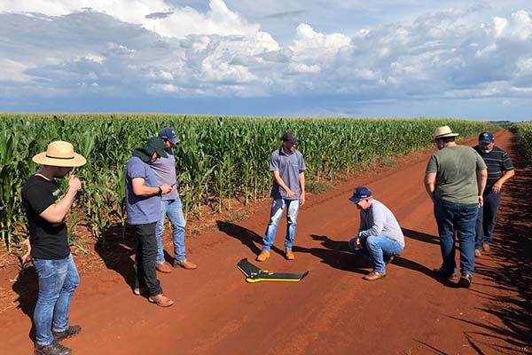 Baseada em tecnologias de georreferenciamento, a NetWord Agro monitora solos gerando mapas nutricionais que indicam as necessidades de aplicação, ou não, de fertilizantes em taxas variáveis, indicando também os agentes causadores de danos nas lavouras mui