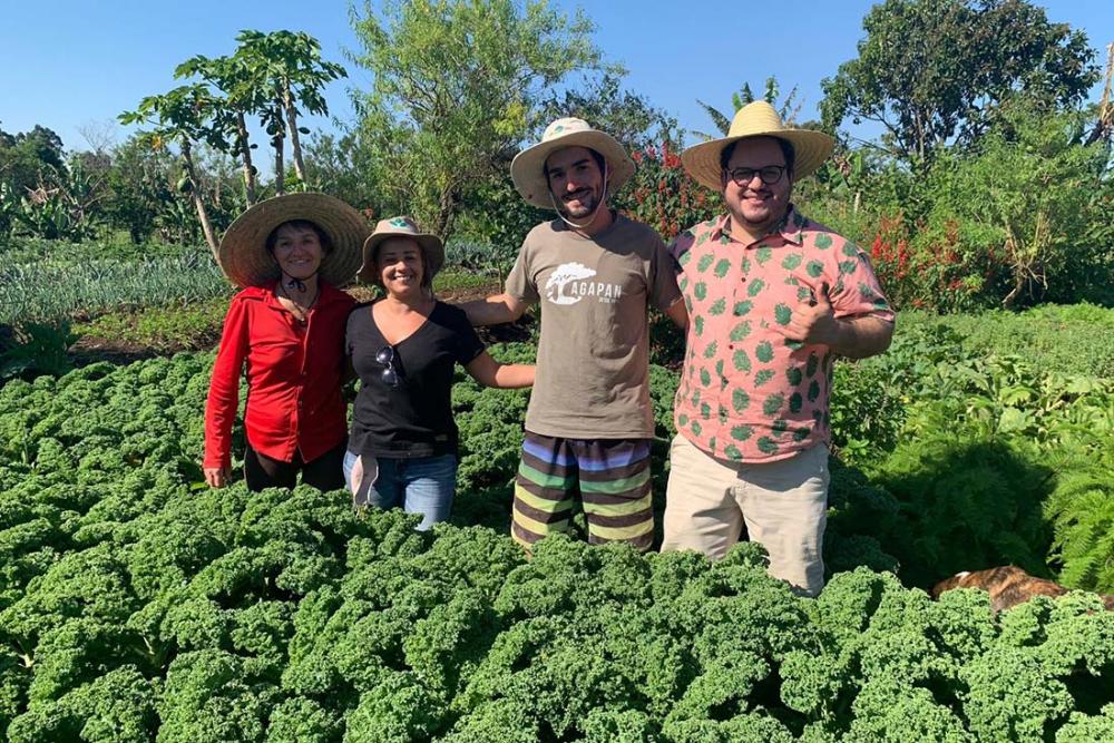 Créditos: Divulgação Urban Farmcy