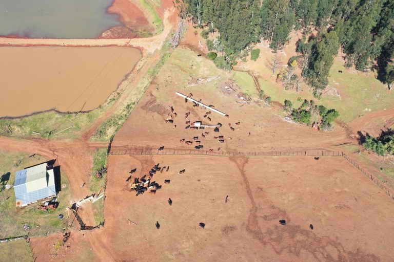 Conforme as investigações, conduzidas pelo período de 20 meses, cinco criadores de gado teriam introduzido clandestinamente em torno de 5.700 animais no mercado brasileiro. 