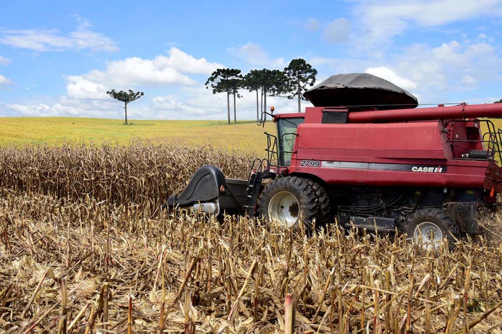 Os números são favoráveis, mesmo com a situação atual de preocupação com o cenário internacional e com as situações climáticas observadas no ano passado. Foto Toninho Anhaia