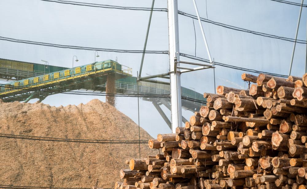 Agora a CMPC passa a operar no Brasil com suas três linhas de atuação – a de embalagens sustentáveis (biopackaging), celulose e de papéis tissue