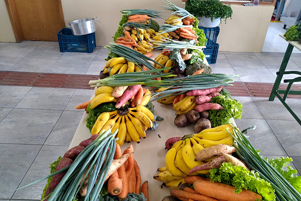 O Departamento de Segurança Alimentar e Nutricional (Desan), da Secretaria de Estado da Agricultura e do Abastecimento, prorrogou até às 12 horas de 4 de maio o prazo para elaboração dos projetos de venda do Programa Emergencial Compra Direta Paraná.