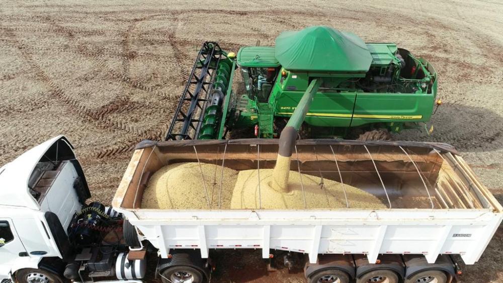 De acordo com o gerente técnico Emerson Nunes, a produção média de 1.688 quilos por hectare corresponde a apenas 47,6% do estimado, que era de 3.200 quilos/hectare.