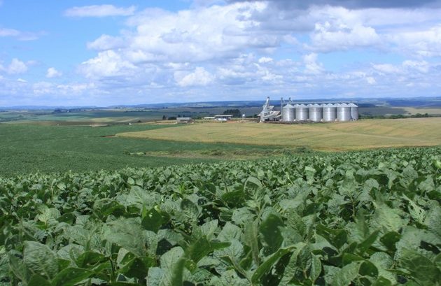 A orientação decorre do fato de que, mesmo em face da pandemia, o agronegócio não pode parar, pois trata-se de atividade essencial a produção de alimentos.