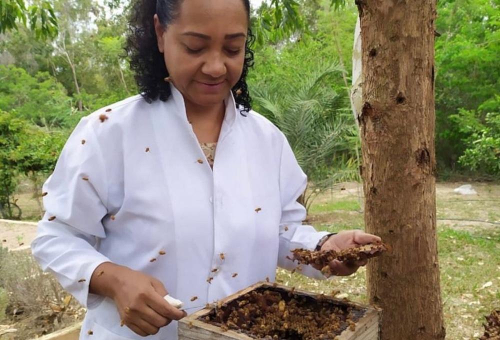 As propriedades terapêuticas de produtos elaborados a partir do mel da abelha sem ferrão serão abordadas na programação de palestras do Primeiro Seminário Noroeste de Meliponicultura que vai acontecer nos dias 29 e 30 de abril, no município de Horizontina