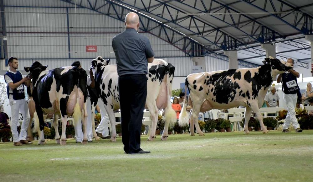 A ExpoFrísia acontece entre os dias 12 e 14 de maio, com entrada gratuita. Foto Toninho Anhaia
