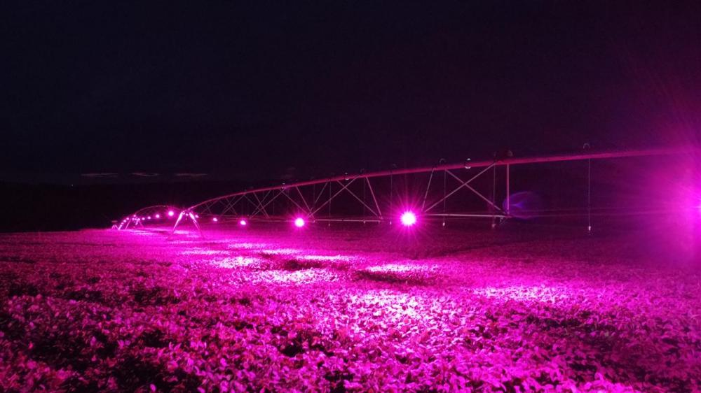 O objetivo é levar a Tecnologia IRRILUCE para além das áreas irrigadas e promover a suplementação luminosa em lavouras de áreas sequeiras.