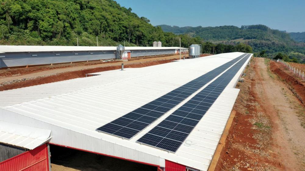 O produtor gera cerca de 12,3 mil quilowatts mensais, o que permite atender 172 mil aves alojadas por lote em três aviários. Dois novos alojamentos para aves já estão nos planos, assim como a ampliação do número de placas solares instaladas na propriedade