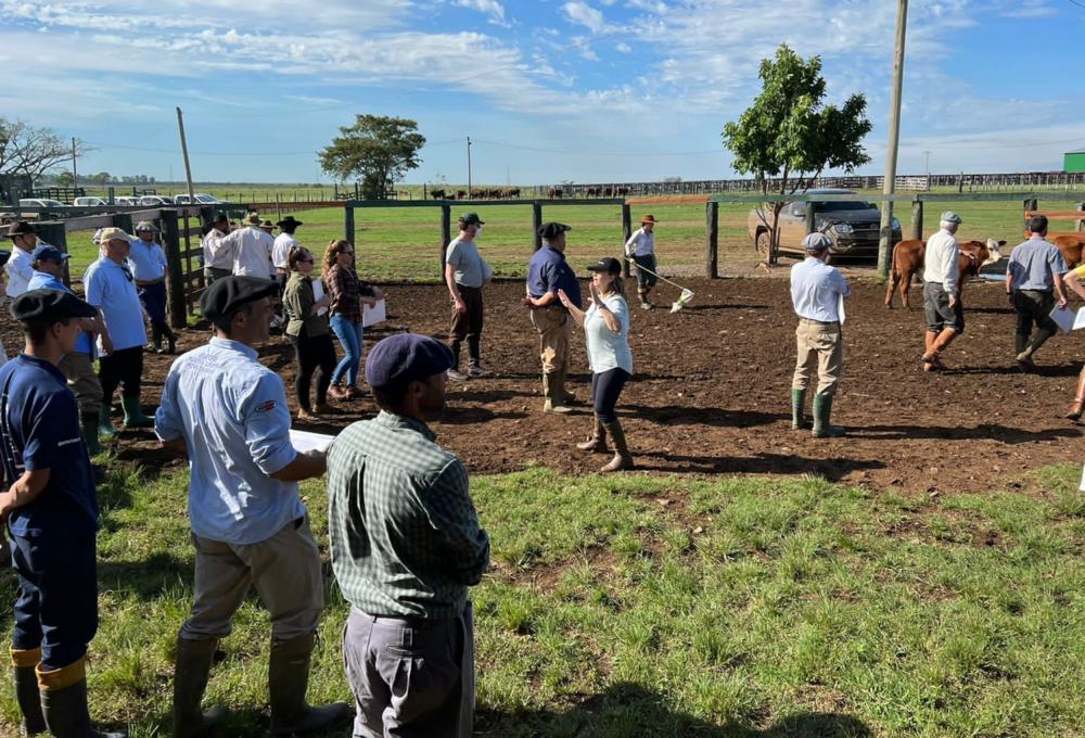 Na ocasião os produtores tiveram, em duas etapas, teórica e prática, discussões técnicas relacionadas à seleção de animais e revisões de fundamentos relacionados aos programas de genômica da entidade.