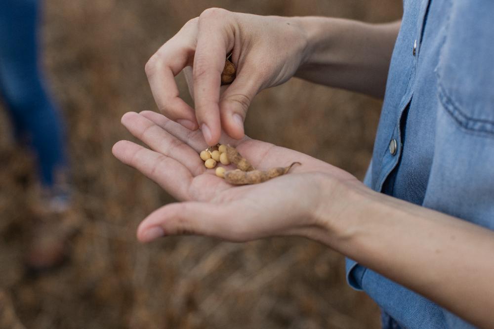 Trabalhando lado a lado com os produtores rurais em prol de uma agricultura sustentável, o programa 3S é focado em melhoria contínua. 