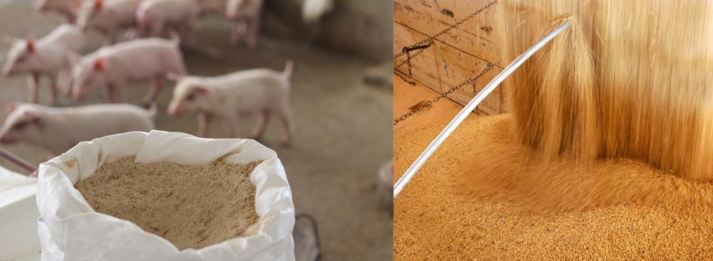 O NOA é um NIR portátil (Infravermelho Próximo) que encurta o processo de levar as amostras ou matérias-primas até o laboratório. Ele realiza a análise sem a necessidade da moagem prévia. 