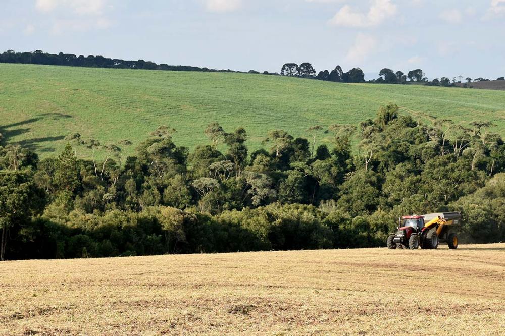 O DERAL acompanha a evolução do Preço da Terra Agrícola no Estado do Paraná. Foto Toninho Anhaia