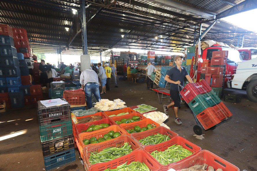 Em média, por ano, as cinco Ceasas do Paraná comercializam cerca de 1,2 milhão de toneladas de hortigranjeiros. Nessas unidades estão instaladas 645 empresas atacadistas.