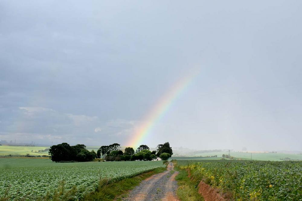O mês de abril foi marcado com chuvas acima da média nas regiões Noroeste, Oeste, Sudoeste e Sul do Paraná. Foto Toninho Anhaia