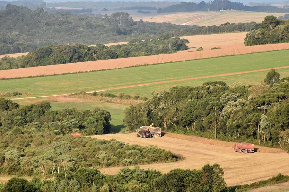 Uma alternativa para esse cenário é o gestor rural diversificar o investimento, protegendo a sua renda e ampliando os ganhos, de forma segura, prática e com rentabilidade garantida. Foto: Toninho Anhaia