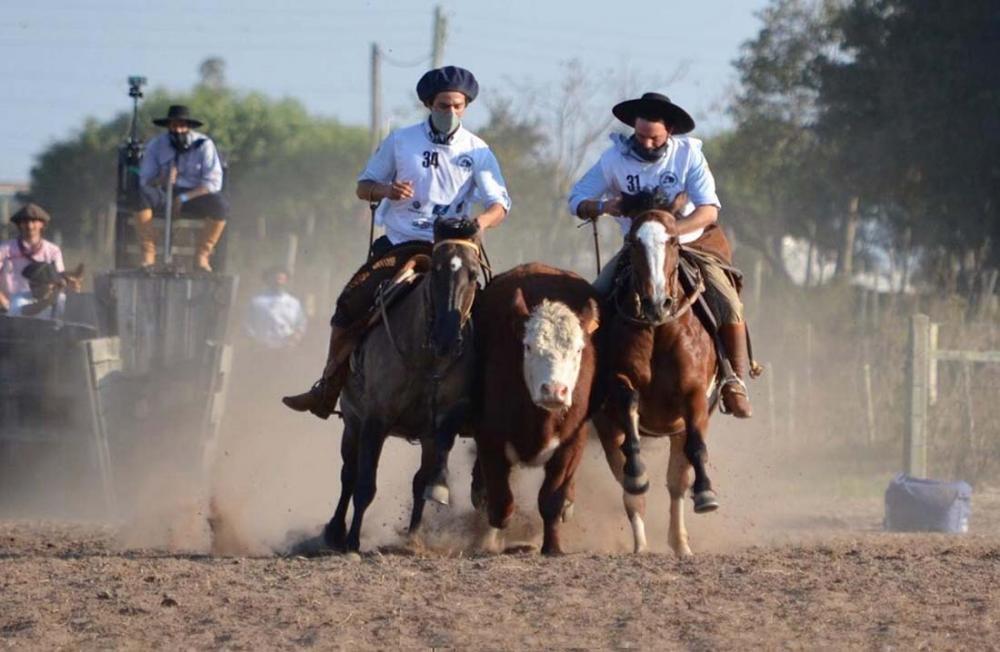 A feira inicia na próxima quarta-feira, 4 de maio, com o ingresso de animais para as três provas que serão realizadas no evento: Copa VW, Morfologia ExpoOtoño e Freio de OuroDivulgação