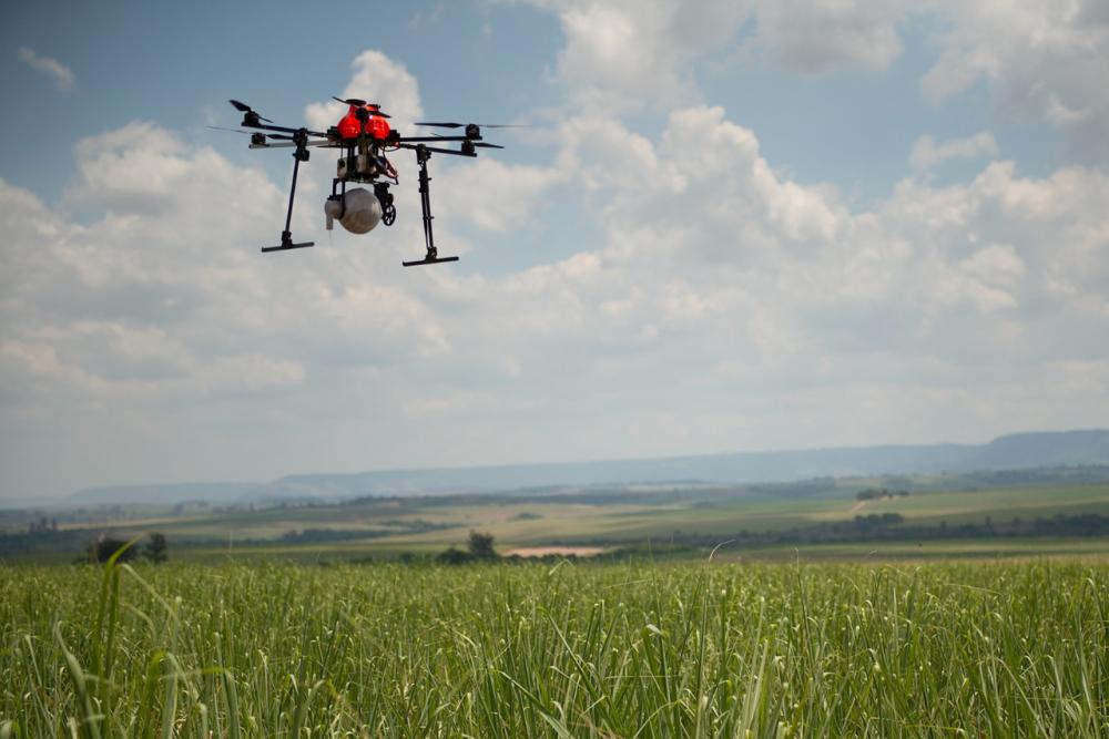 Todas as análises, todos os dados cruzados com números e informações acessíveis para a tomada de decisão, chegam rapidamente na mão dos agricultores