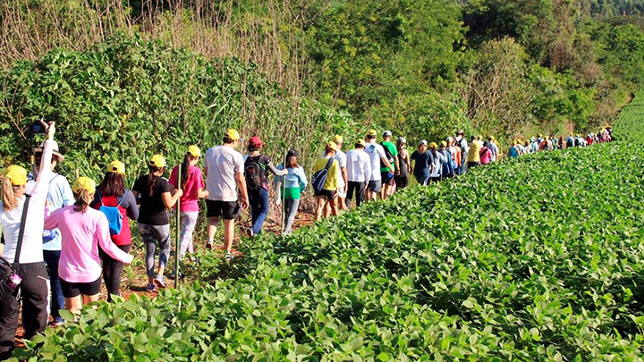 As Caminhadas na Natureza deram um grande impulso à atividade turística no meio rural.