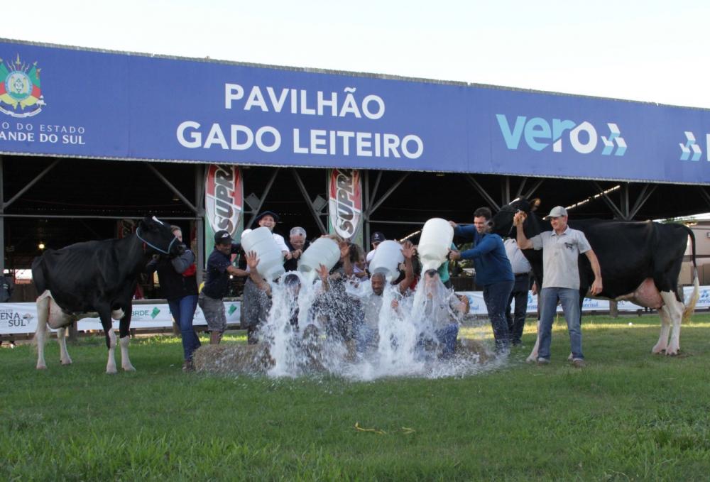 Depois de cinco ordenhas realizadas, o resultado culmina no tradicional “Banho de Leite” aos vencedores das duas categorias disputadas: vaca jovem e vaca adulta. O ato está marcado para às 16h da quinta-feira, 19 de maio, no evento que ocorre no Parque de
