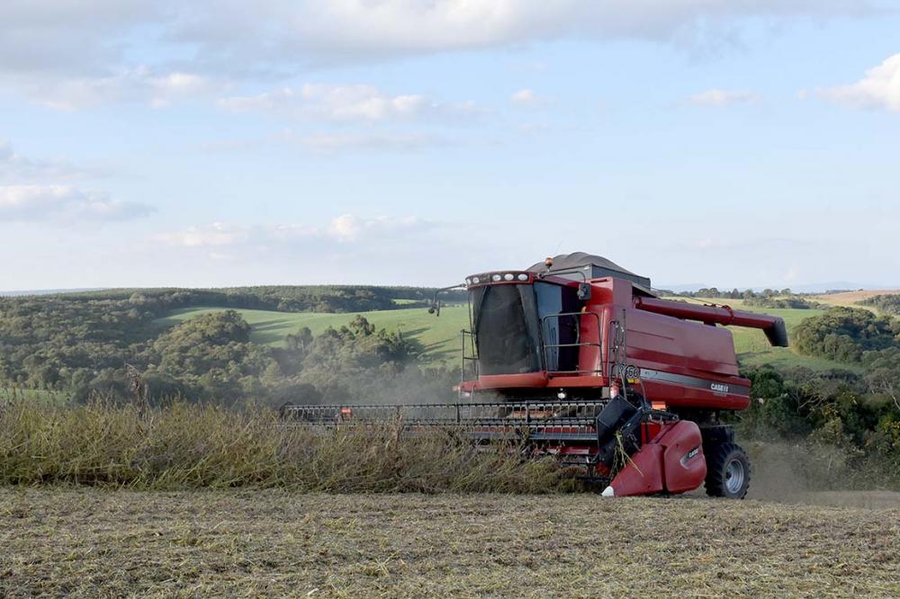 Considerados todos os setores, o estudo mostrou que o agro foi responsável por 35,9% do total das exportações paulistas e 7,1% das importações, de janeiro a março deste ano. Foto Toninho Anhaia