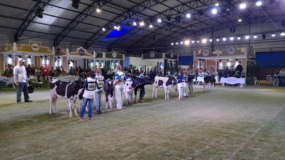 Ao todo, são 154 animais julgados, sendo 65 da raça Holandês Vermelho e Branco e 89 da Holandês Preto e Branco.