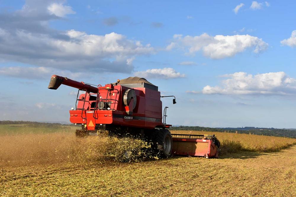 A estimativa de produção da soja está em 123,8 milhões de toneladas, redução de 10,4% em relação à safra anterior. Foto Toninho Anhaia.