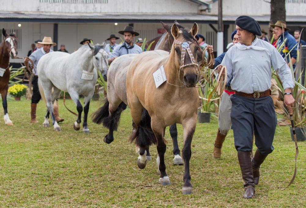 A Nacional é promovida pela Associação Brasileira de Criadores de Cavalos Crioulos (ABCCC) e acontece durante a Expointer no Parque de Exposições Assis Brasil, em Esteio (RS).