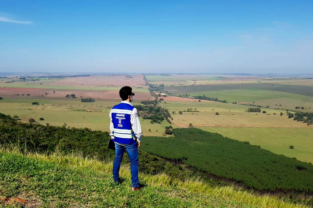 Adapar anuncia Processo Seletivo Simplificado - Foto: ADAPAR/SEAB-PARANÁ
